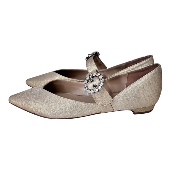 RENVY Perrin Metallic Mary Jane Rhinestone Shoes Sz 8 - Picture 1 of 8